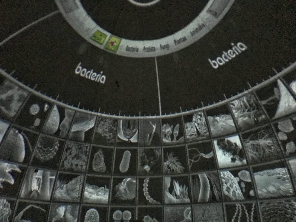 NANOCAM