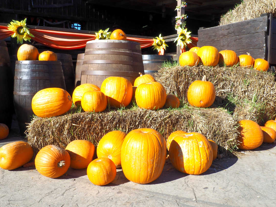 Halloween en Port Aventura